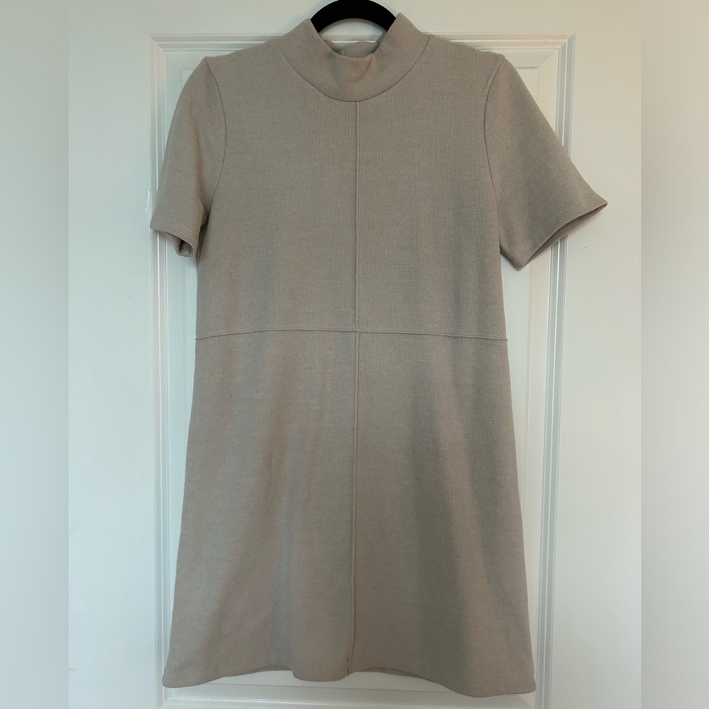 Zara Soft Mock Neck Dress